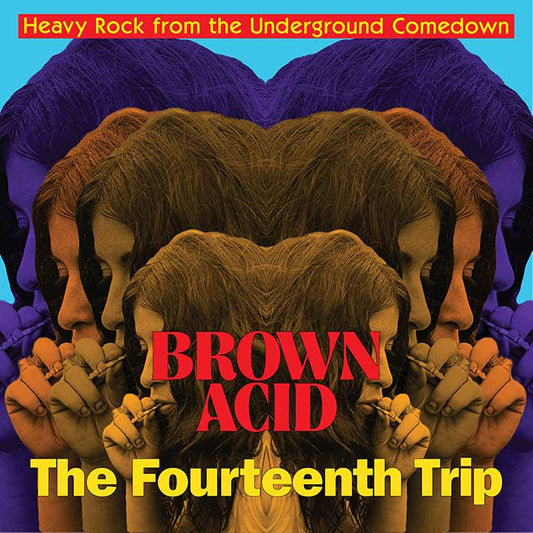 BROWN ACID: The Fourteenth Trip - Heavy Rock from the American Comedown Era compilation LP