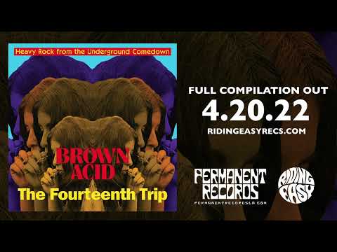 BROWN ACID: The Fourteenth Trip - Heavy Rock from the American Comedown Era compilation LP