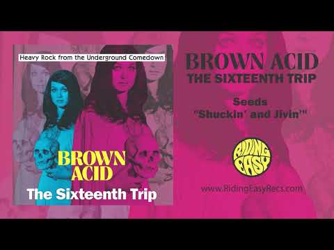 BROWN ACID: The Sixteenth Trip - Heavy Rock from the American Comedown Era compilation (color vinyl) LP