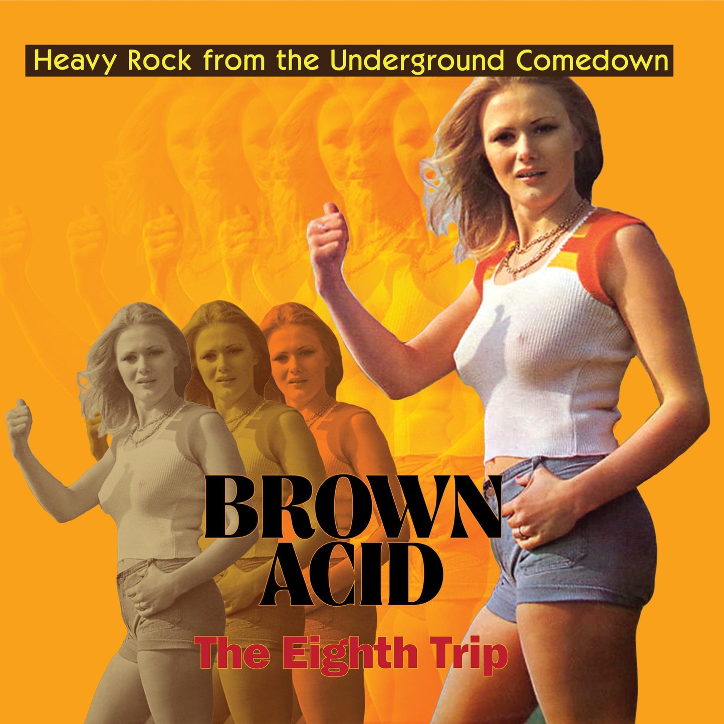 BROWN ACID: The Eighth Trip - Heavy Rock from the American Comedown Era compilation LP
