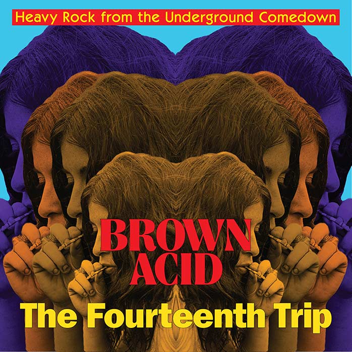 BROWN ACID: The Fourteenth Trip - Heavy Rock from the American Comedown Era compilation LP