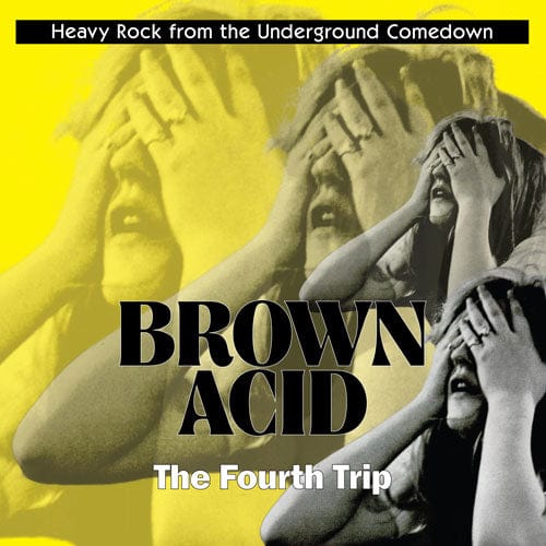 BROWN ACID: The Fourth Trip - Heavy Rock from the American Comedown Era compilation LP