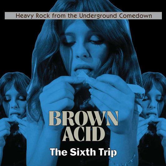 BROWN ACID: The Sixth Trip - Heavy Rock from the American Comedown Era compilation LP