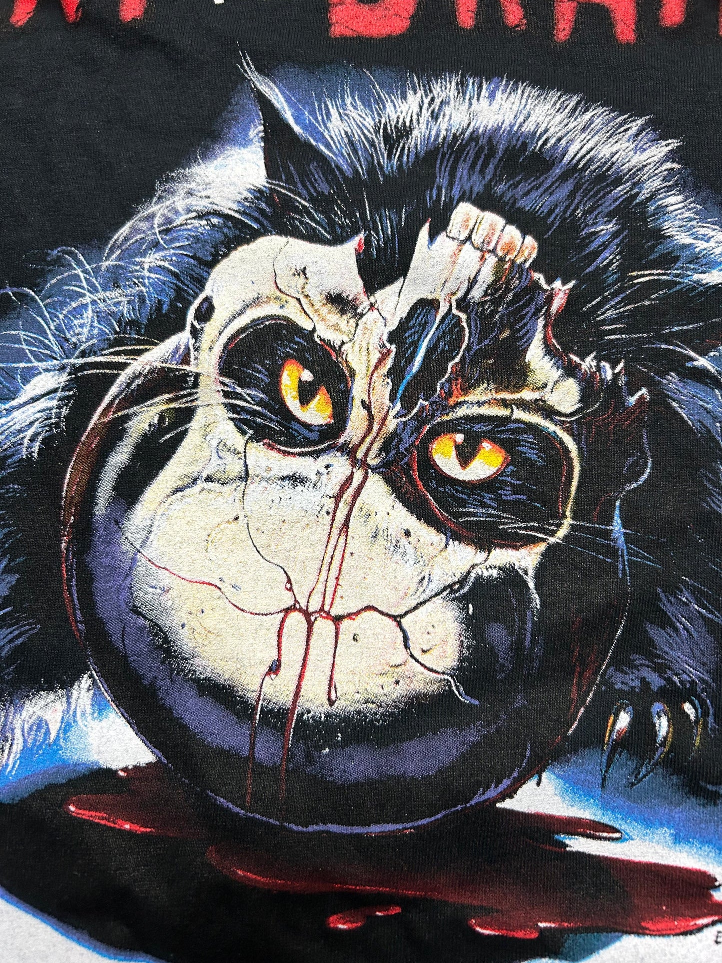 CAT IN THE BRAIN T-shirt: Full Color Skull