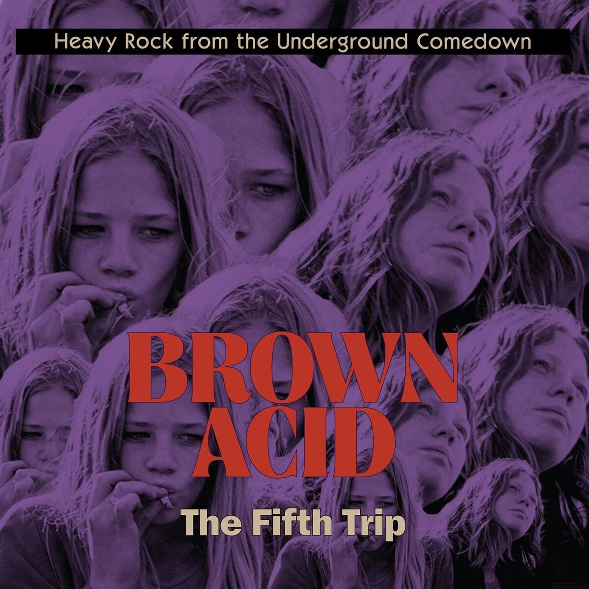 Copy of BROWN ACID: The Fifth Trip - Heavy Rock from the American Comedown Era compilation LP