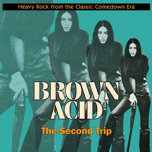 Copy of BROWN ACID: The Second Trip - Heavy Rock from the American Comedown Era compilation LP