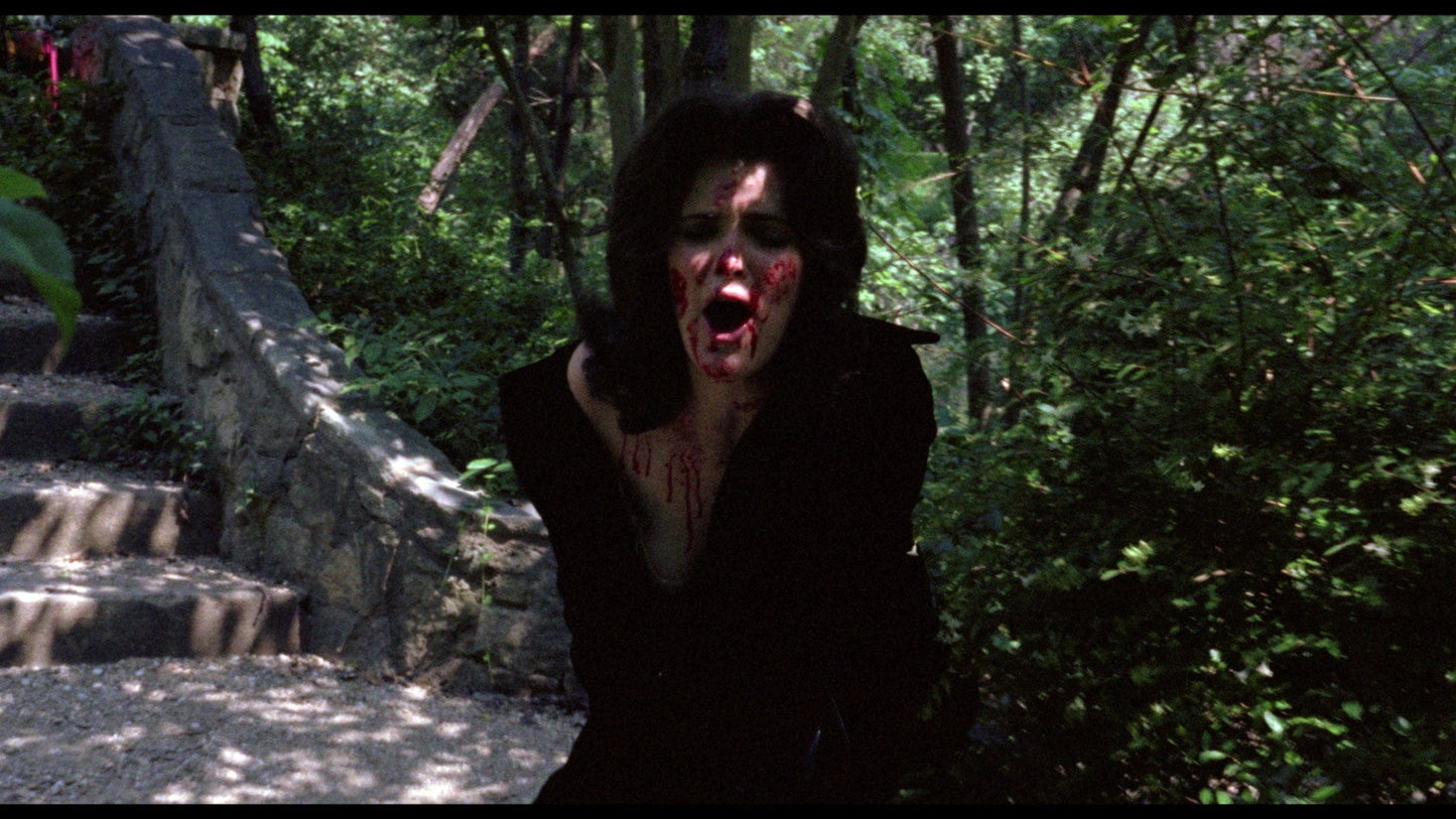 Palmer Rockey's SCARLET WARNING 666 Deluxe 3 Disc Blu-ray set - ONLY 3000 NUMBERED UNITS!