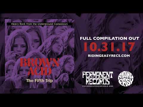 BROWN ACID: The Fifth Trip - Heavy Rock from the American Comedown Era compilation LP