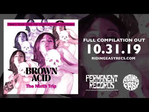 BROWN ACID: The Ninth Trip - Heavy Rock from the American Comedown Era compilation LP
