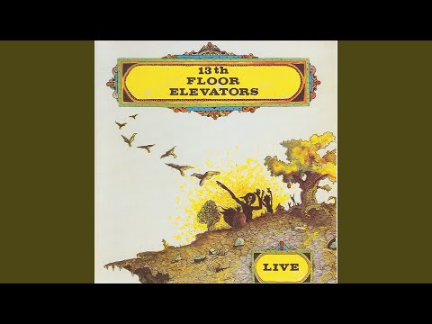 13th FLOOR ELEVATORS: Live LP (Roky Erickson)