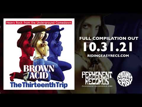 BROWN ACID: The Thirteenth Trip - Heavy Rock from the American Comedown Era compilation LP