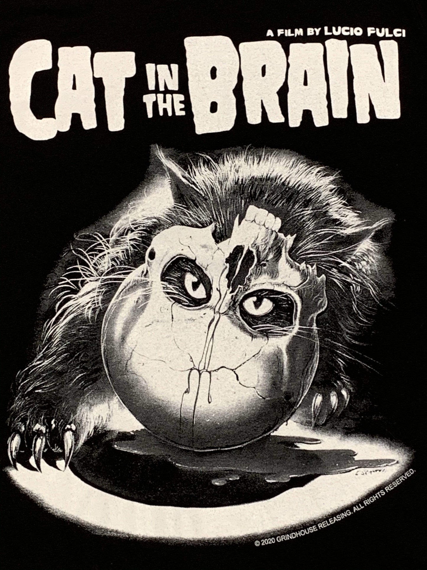 CAT IN THE BRAIN T-shirt : Glow in the Dark Cat & Skull