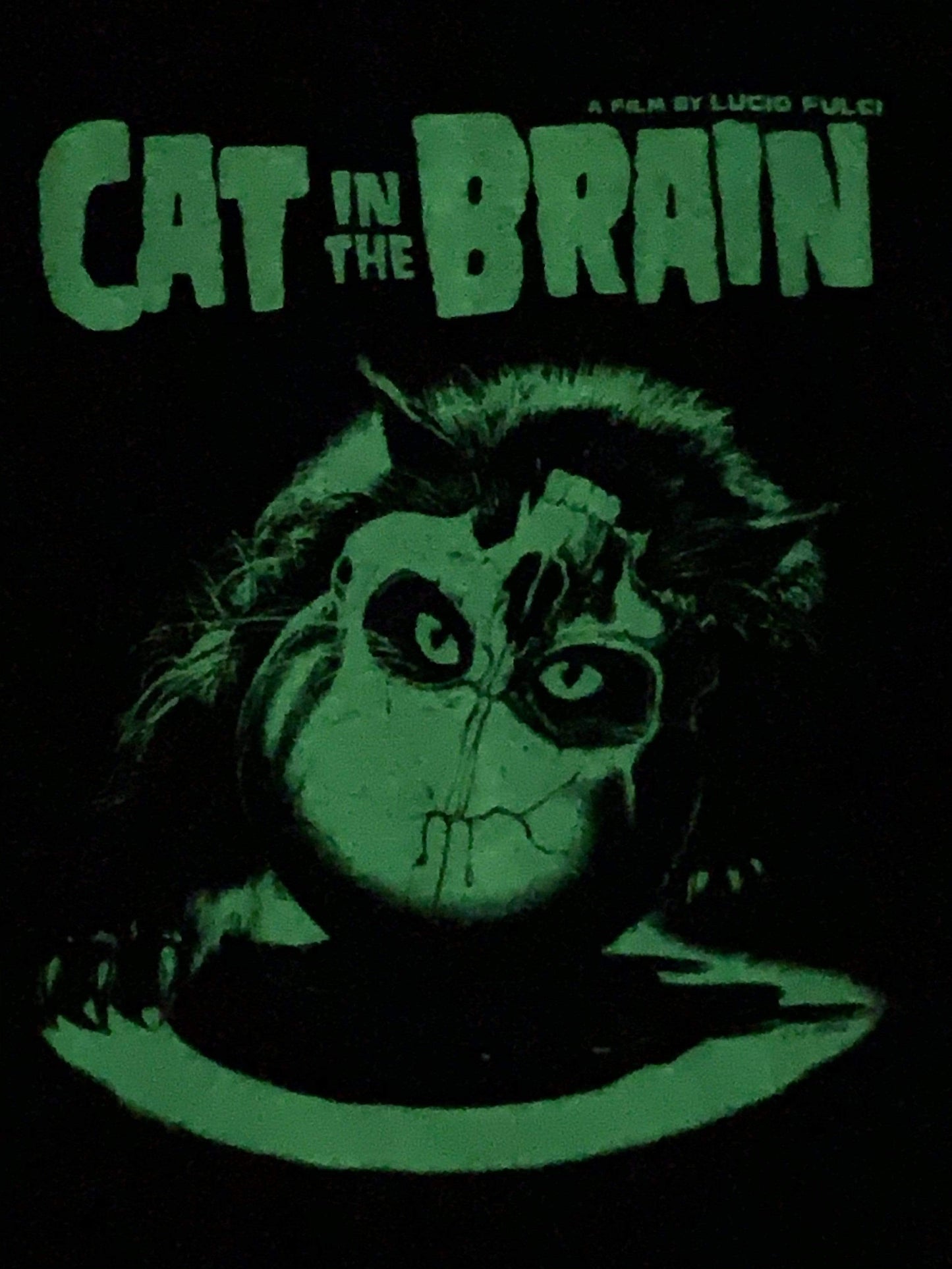 CAT IN THE BRAIN T-shirt : Glow in the Dark Cat & Skull